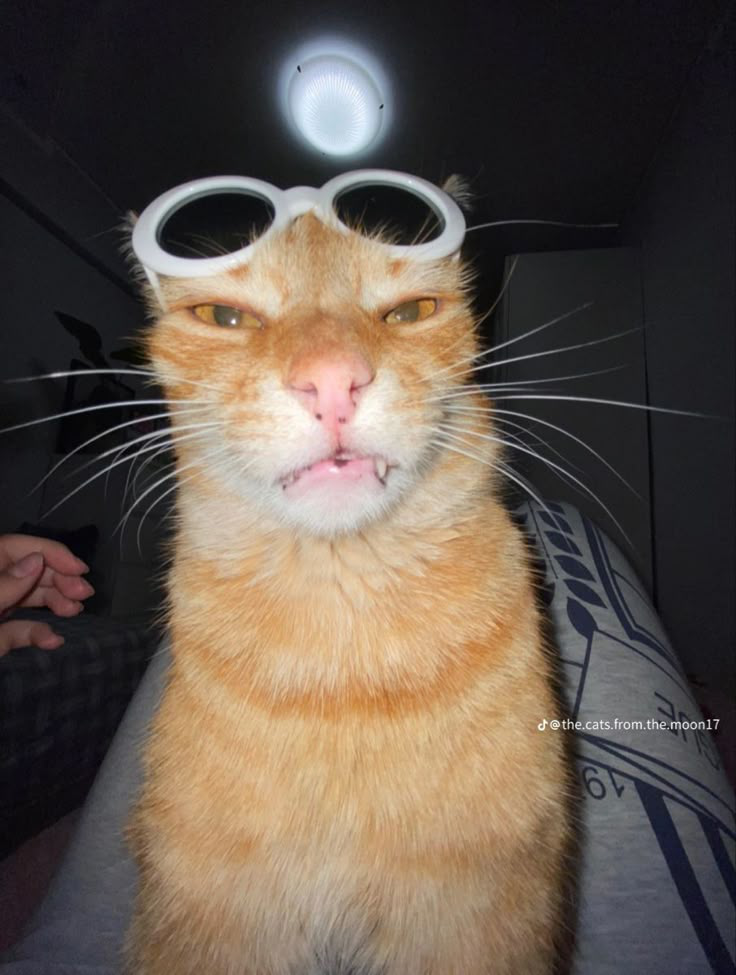 NIGHTMARE-NETWORK.NET